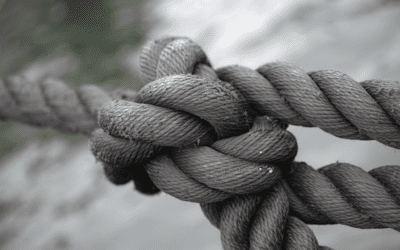 Soaring to Great Heights with Company Culture